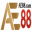ae88cam's avatar