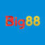 big88sacom's avatar