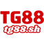 tg88sh's avatar
