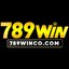 789wincocom's avatar