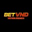 betvndwebsite's avatar