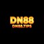 dn88tips's avatar