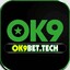 Ok9bettech's avatar