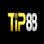 tip88devv's avatar