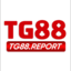 tg88report's avatar