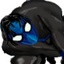 NightWing's avatar