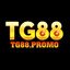tg88promo's avatar