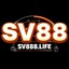 sv888life's avatar