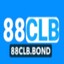 88Clbbond's avatar