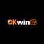okwintvzone's avatar