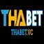Thabetvc's avatar