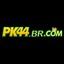 pk44brcom's avatar