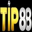 tip88cncom's avatar