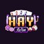 Haywin1games's avatar