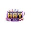 Haywin1network's avatar