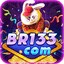 br133org's avatar