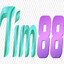 tim88promo1's avatar