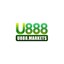 u888markets's avatar