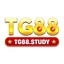 tg88study1's avatar