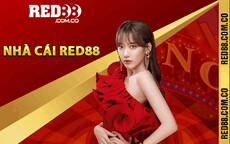 red88co's picture