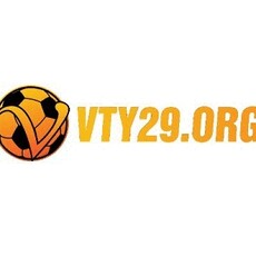 vty29org2024's picture