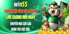 5win55info's picture