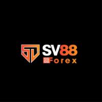 sv88forex's picture