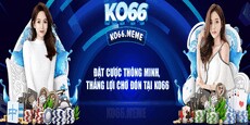 ko66meme's picture