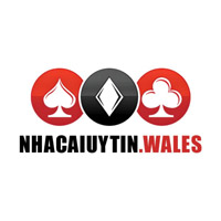 nhacaiuytinwales's picture