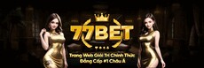 77bettapp's picture