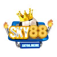 sky88meme's picture