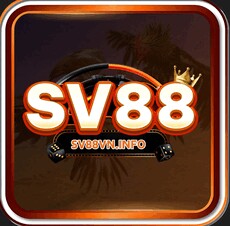 sv88vninfo's picture