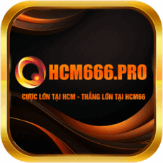 hcm666pro's picture