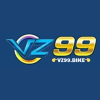 vz99comreview's picture