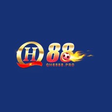 qh8888pro's picture