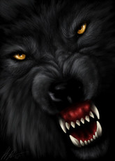 shadowofthewolfinme's picture